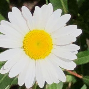 Meet your Posher, Kerri